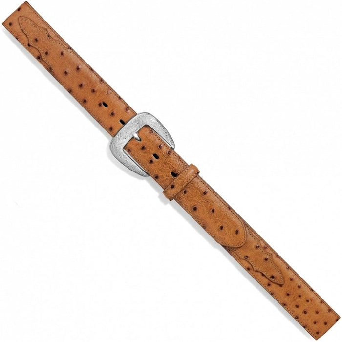 Brighton tan leather belt with ostrich texture pattern and engraved silver-tone buckle on a white background