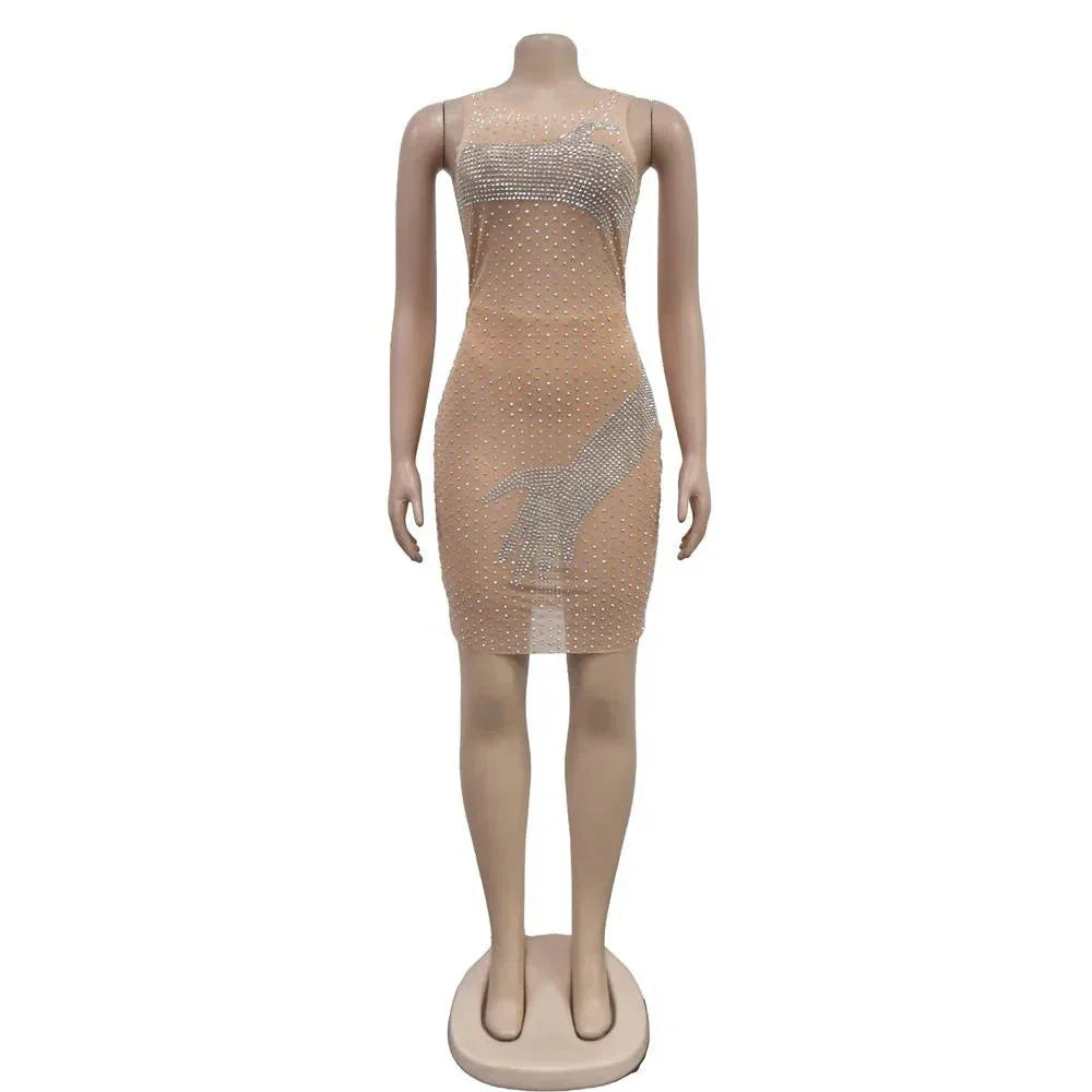 Mesh Rhinestone Round Neck Sleeveless Mini Dress