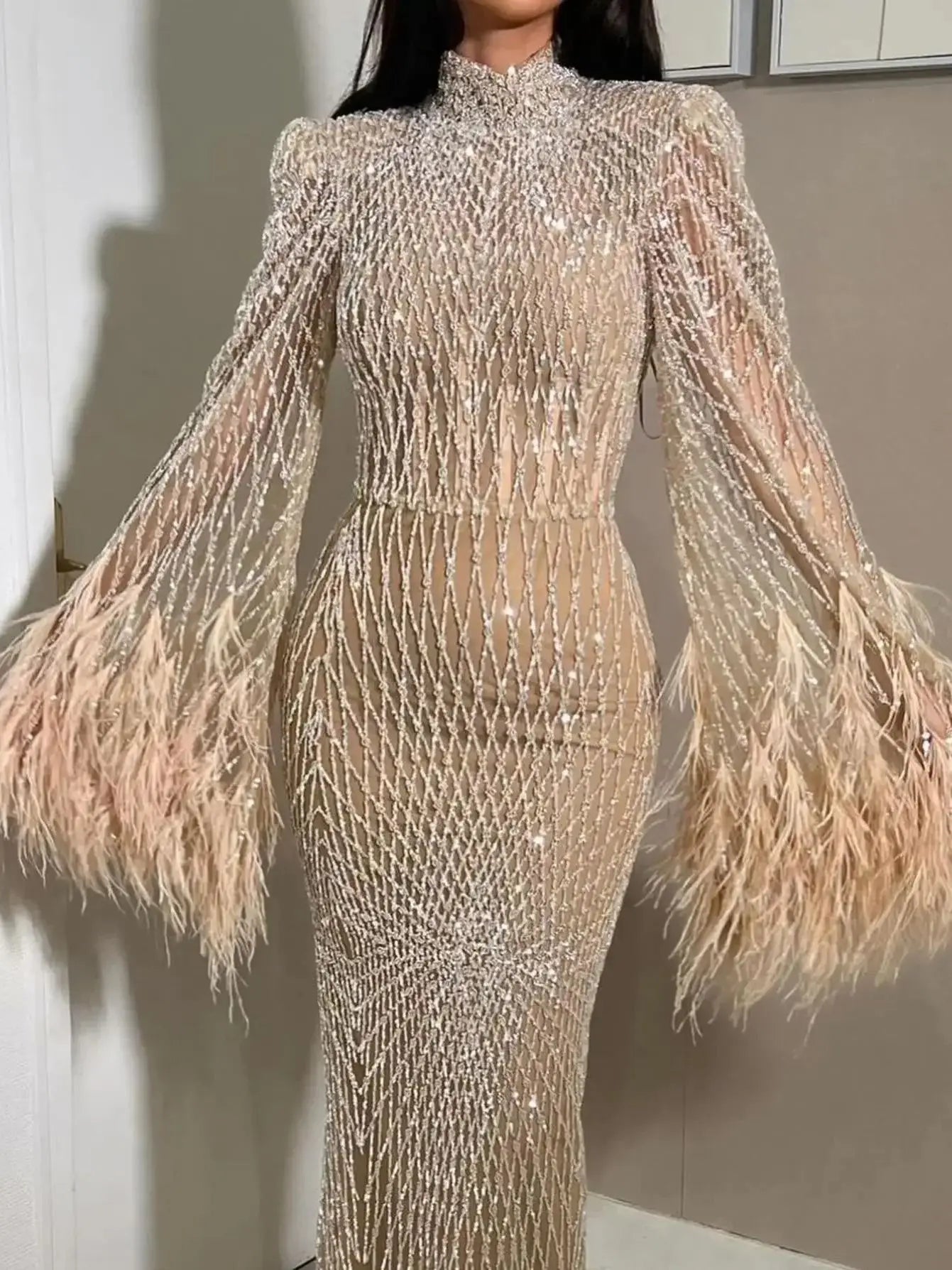 Feather Embellished Evening Gown with Long Sleeves