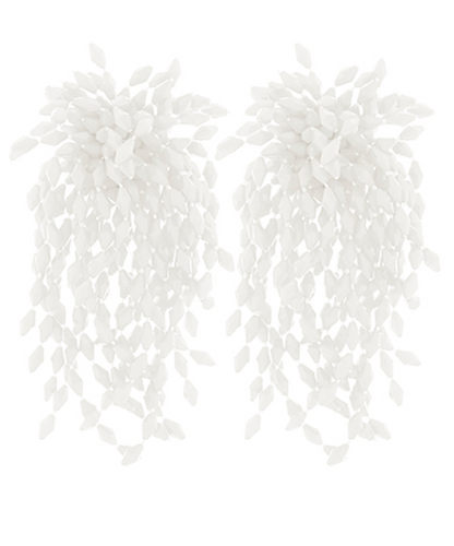 Bead Fringe Long Earrings