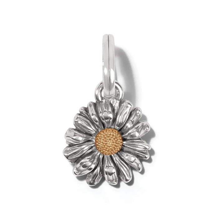 Brighton daisy flower charm with silver-tone petals and gold-tone textured center on a white background