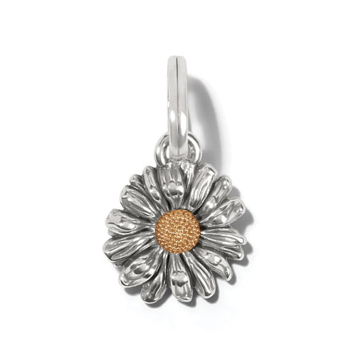 Brighton daisy flower charm with silver-tone petals and gold-tone textured center on a white background