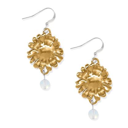Brighton drop earrings with gold-plated floral medallions and clear crystal bead accents on a white background