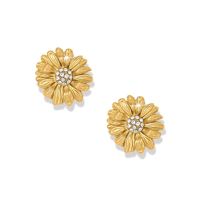 Brighton stud earrings with gold-plated daisy flower design and crystal pavé centers on a white background