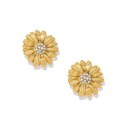 Brighton stud earrings with gold-plated daisy flower design and crystal pavé centers on a white background