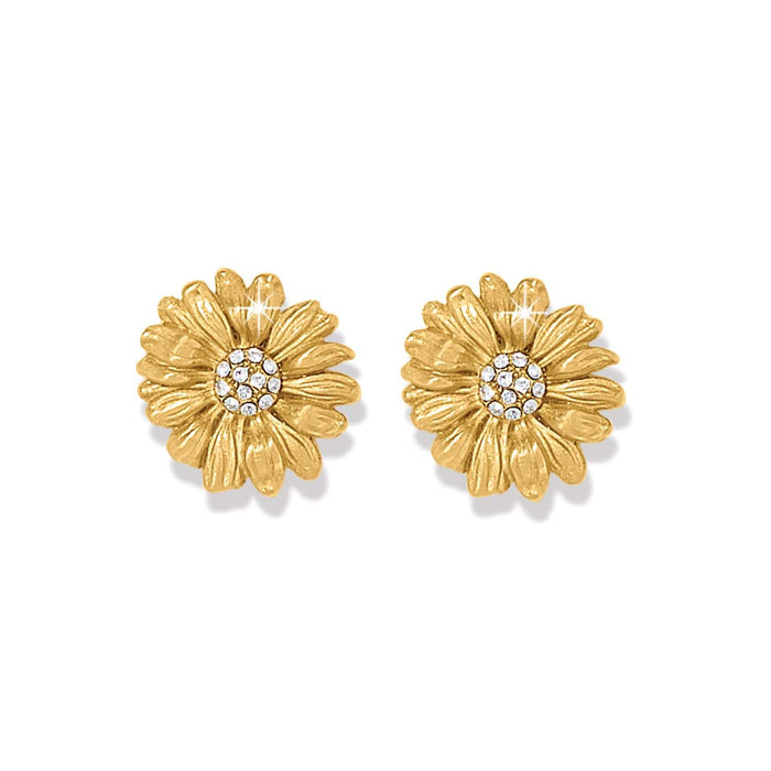 Brighton stud earrings with gold-plated daisy flower design and crystal centers on a white background