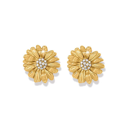 Brighton stud earrings with gold-plated daisy flower design and crystal centers on a white background