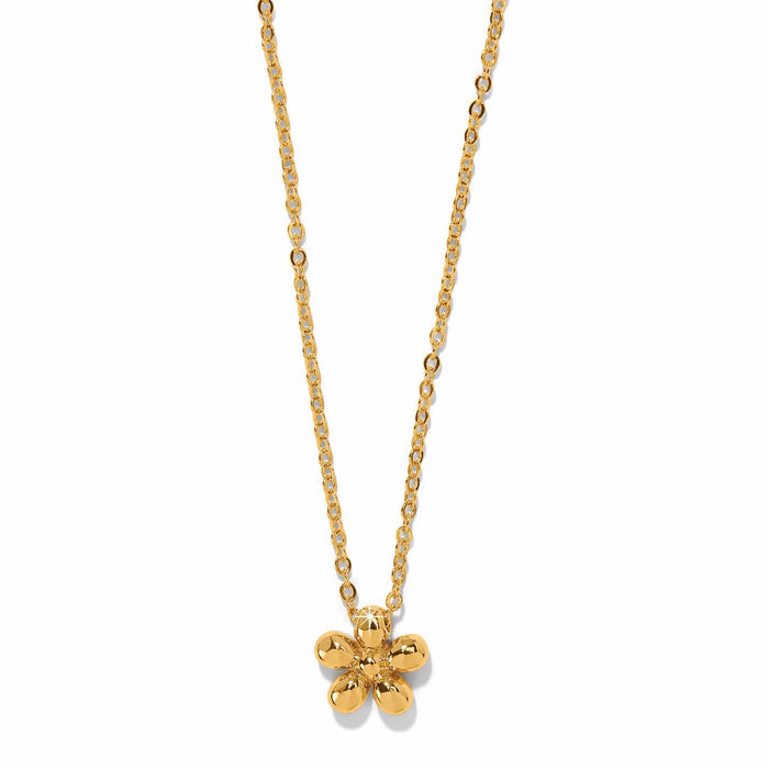 Brighton flower pendant necklace in gold-plated finish with five-petal charm and delicate cable chain on a white background
