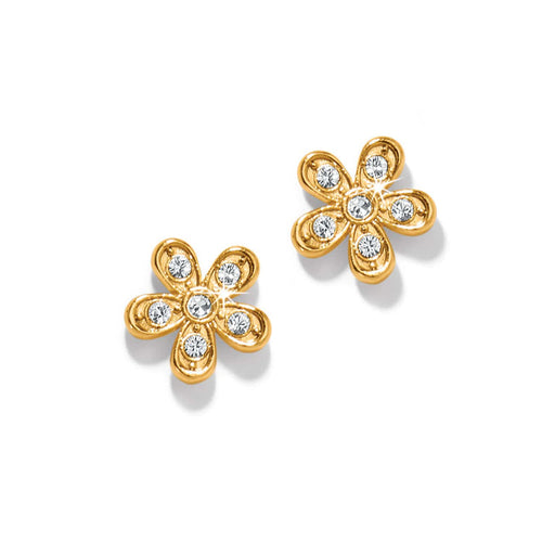 Brighton stud earrings with gold-plated flower design and crystal accents on each petal on a white background