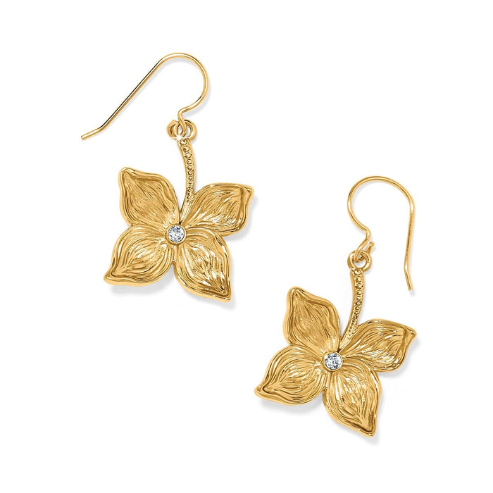 Brighton drop earrings with gold-plated dogwood flower design and crystal centers shown from two angles on a white background