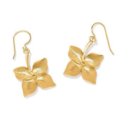 Brighton drop earrings with gold-plated four-petal flower design and French hook closures on a white background