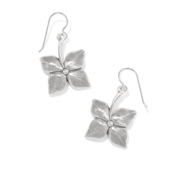 Brighton drop earrings with silver-plated four-petal flower design and textured petals on a white background