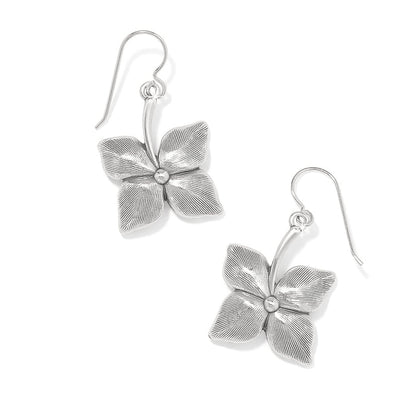 Brighton drop earrings with silver-plated four-petal flower design and textured petals on a white background