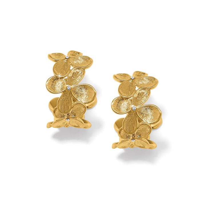 Brighton hoop earrings with gold-plated flower clusters and crystal centers on a white background