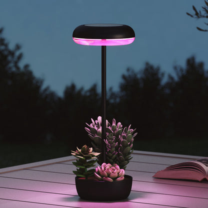 Solar lamp with pink light illuminating a small potted plant on a wooden surface at night.