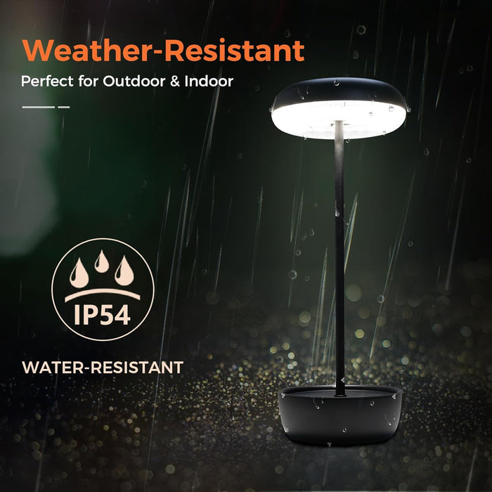 Weather-resistant outdoor light fixture with rain simulation and IP54 rating symbol.