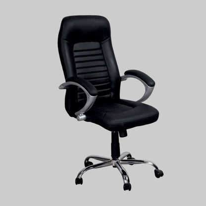 Director Chair