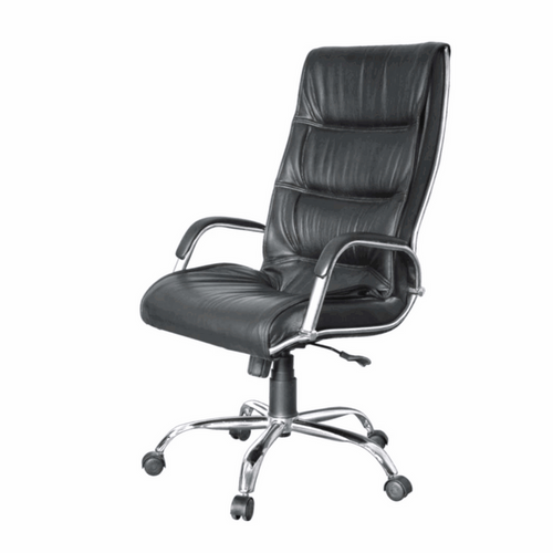 Director Chair