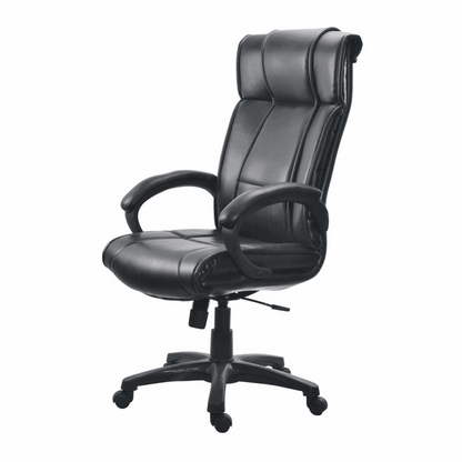 Director Chair