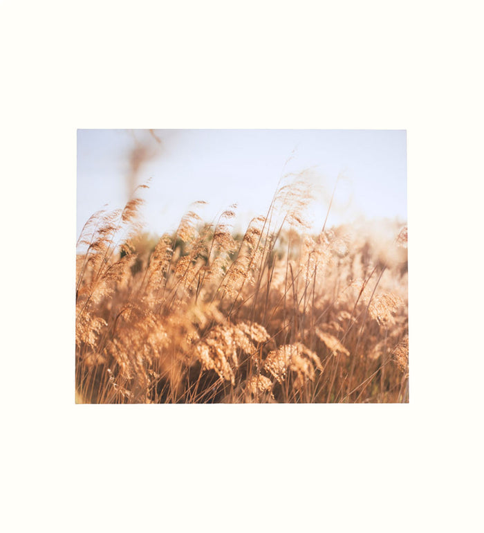 Canvas wall art for a care home interior