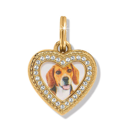 Brighton heart charm pendant with beagle photo center and gold-plated crystal-set frame on a white background