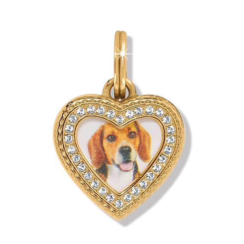Brighton heart charm pendant with beagle photo center and gold-plated crystal-set frame on a white background