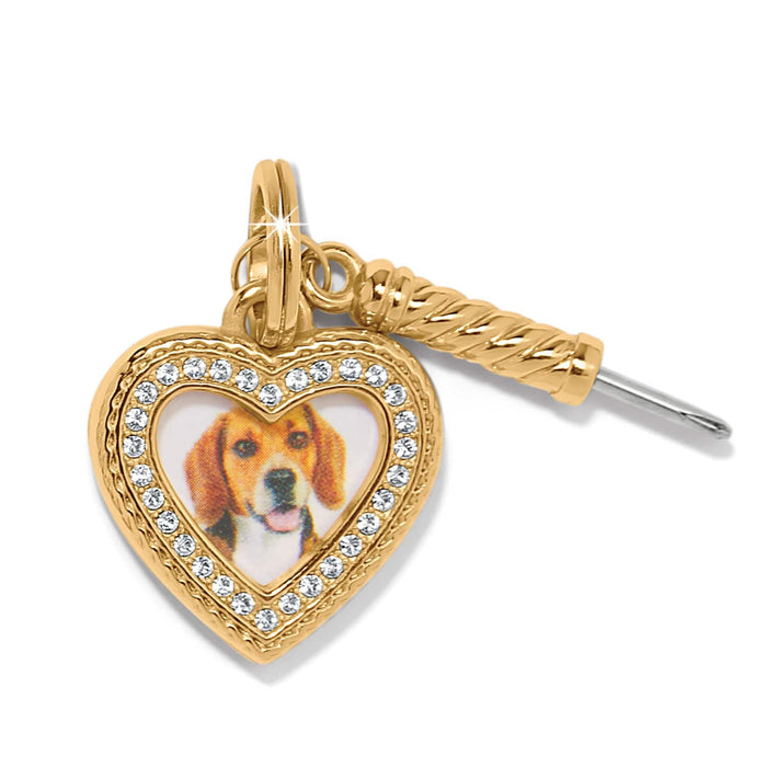 Brighton heart charm with beagle dog image, crystal border, and gold-plated rope accent on a white background