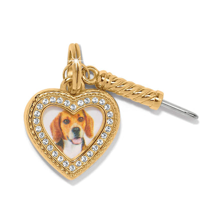 Brighton heart charm with beagle dog image, crystal border, and gold-plated rope accent on a white background