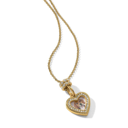 Brighton heart pendant necklace with gold-plated finish, crystal accents, and photo insert of a dog on a white background