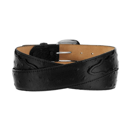 Brighton black leather belt with ostrich-textured pattern and silver-tone buckle, coiled on a white background