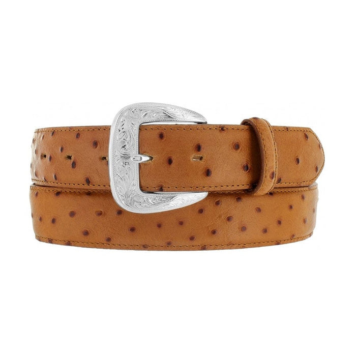 Brighton tan leather belt with ostrich texture and engraved silver-tone buckle on a white background