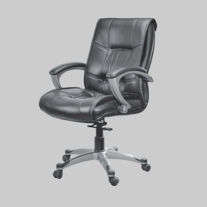 Director Chair