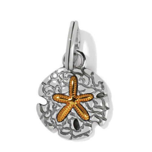 Brighton sand dollar charm with two-tone finish and gold starfish accent on silver base on a white background